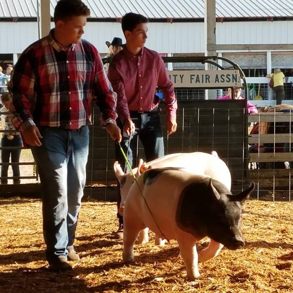 Cover for Newaygo County Fair Swine Department